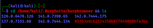 Checking Chromium version compatibility in Burp Suite