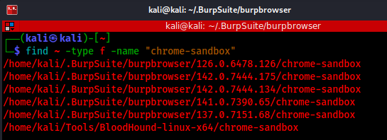 Listing Chromium versions available in Burp Suite