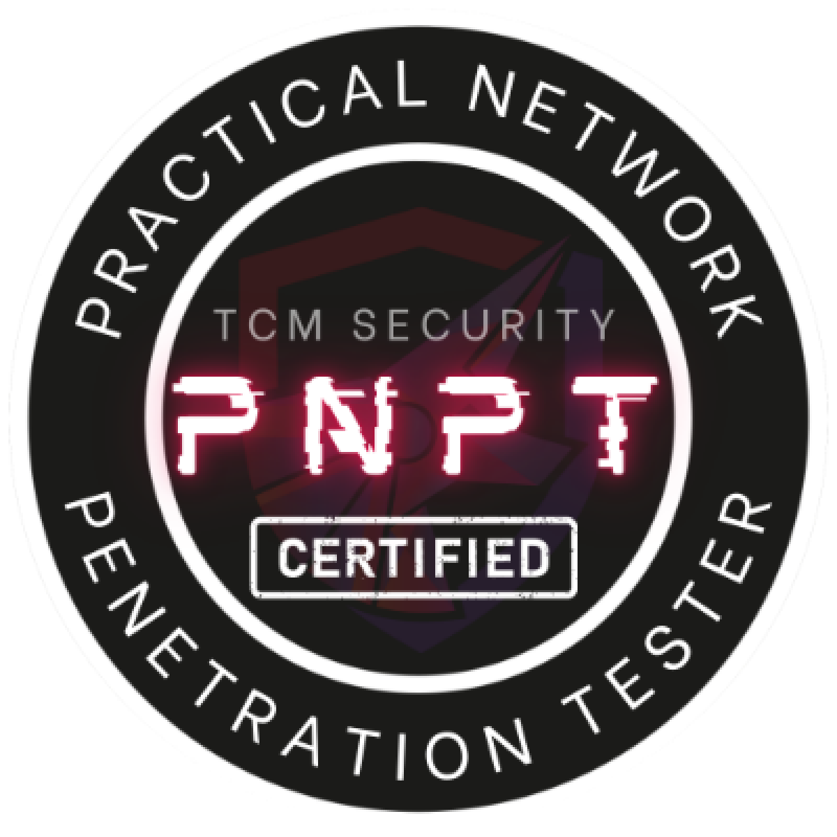 PNPT Exam Review